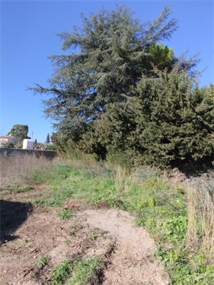 terrain a batir à la vente -   34660  COURNONTERRAL, surface 396 m2 vente terrain a batir - UBI458112326